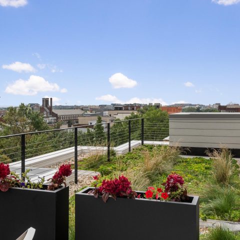 view from the rooftop terrace