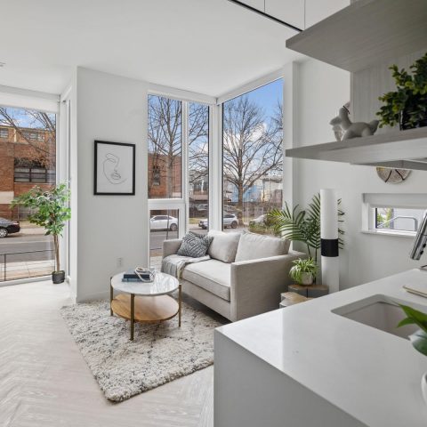 Open and airy junior one-bedroom layout